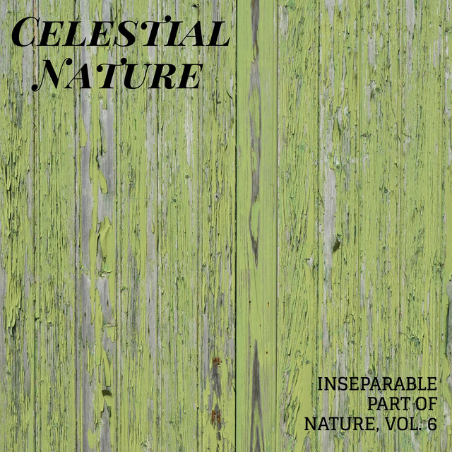 Celestial Nature - Inseparable Part of Nature, Vol. 6 cover art