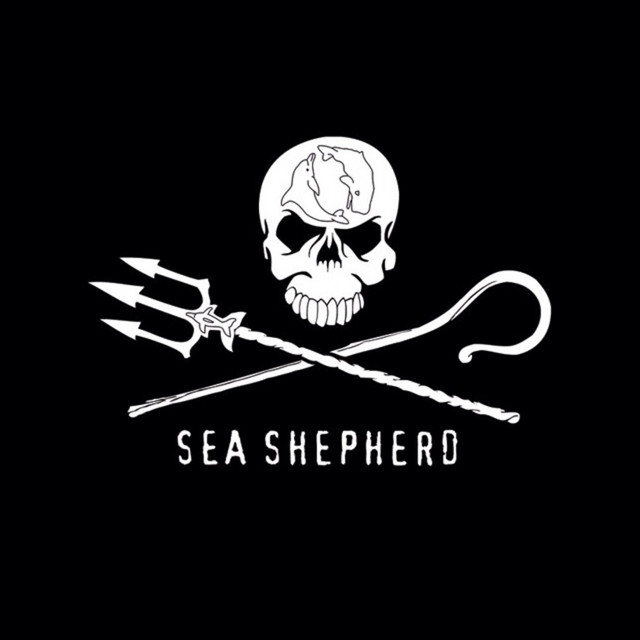 CURE FOR ME - HARDTEKK (SEA SHEPERD) (TIKTOK) cover art