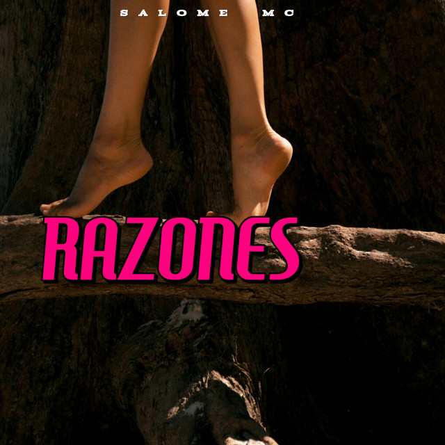 Cover of Razones