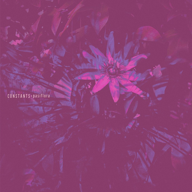 Pasiflora cover art