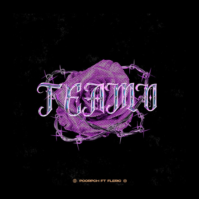Teamo cover art