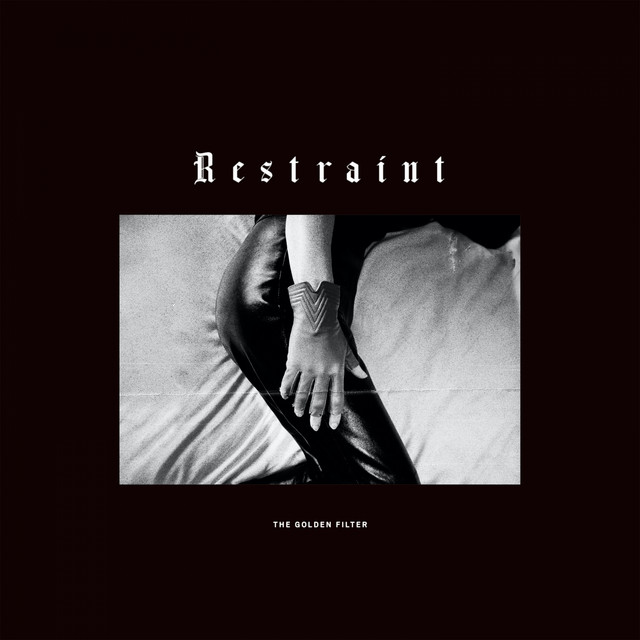 Restraint cover