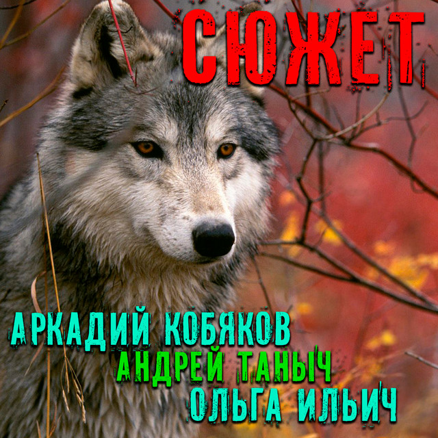 Аркадий Кобяков Photo
