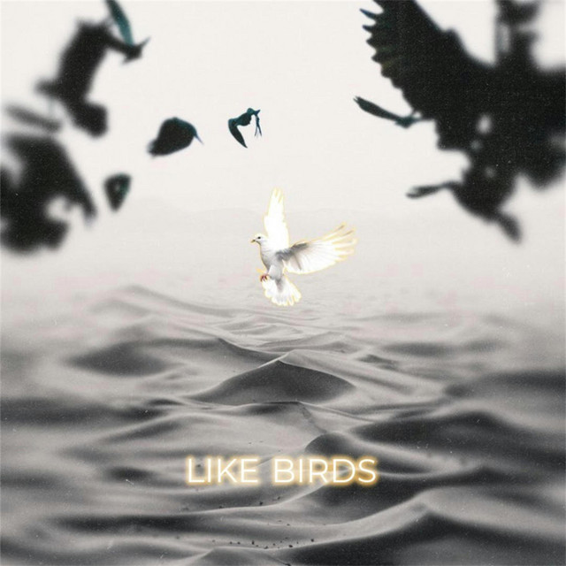 Like Birds