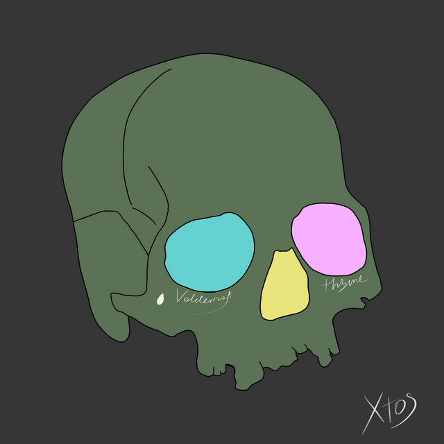 Voldemort Th3me cover