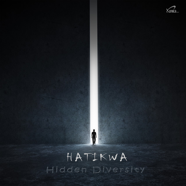 Hidden Diversity cover art