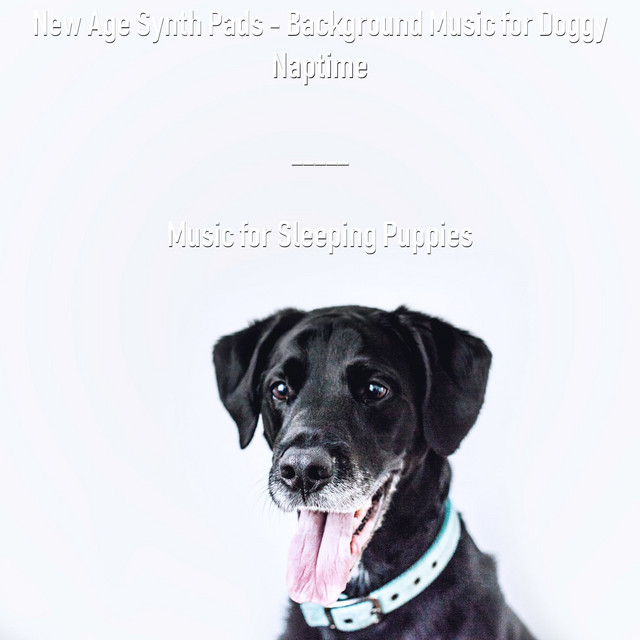 New Age Synth Pads - Background Music for Doggy Naptime cover art