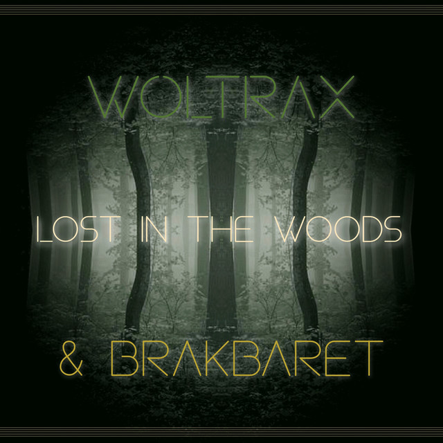 Lost in the Woods cover