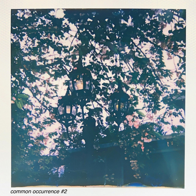 common occurrence #2 cover art