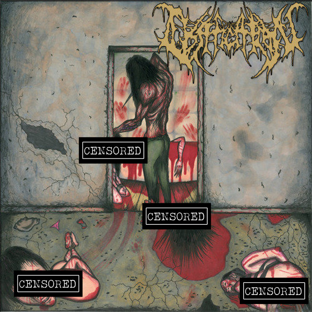 Ossification cover