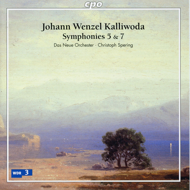 Symphony No. 5 in B Minor, Op. 106: IV. Rondo. Allegro assai cover art