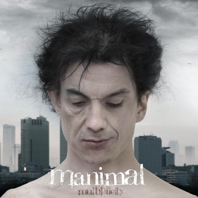 Multiplicity cover art