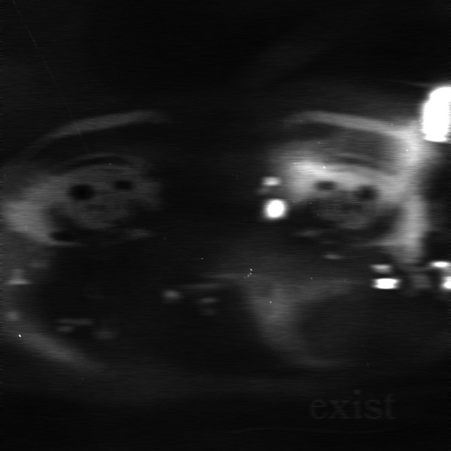 exist cover art