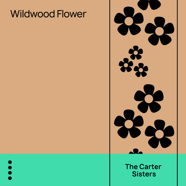 The Carter Sisters image