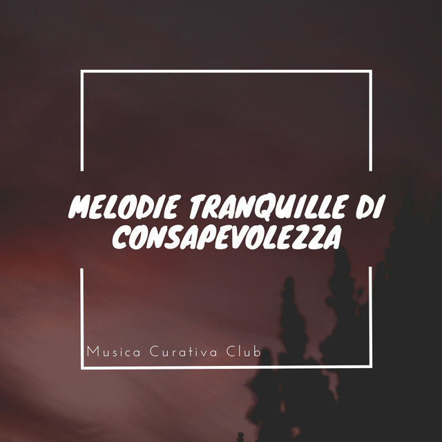 Melodie tranquille di consapevolezza cover art
