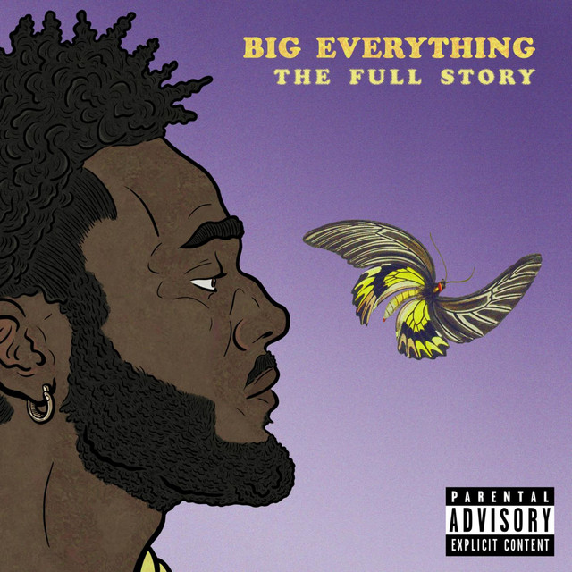 Big Everything: The Full Story cover