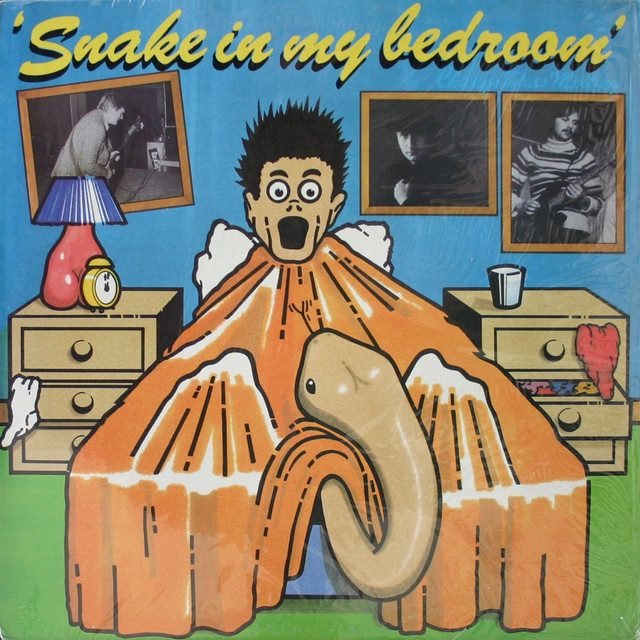 Snake in My Bedroom