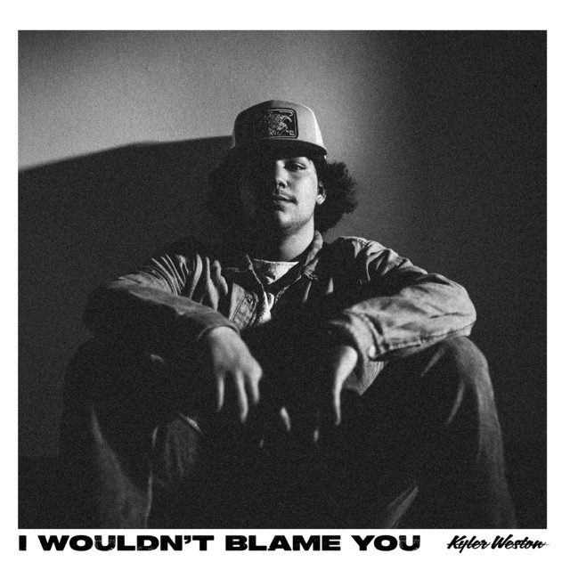 I Wouldn’t Blame You cover art