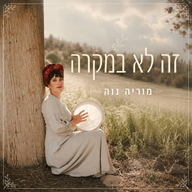 זה לא במקרה cover