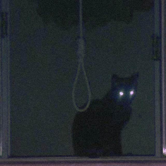 Vent cover art