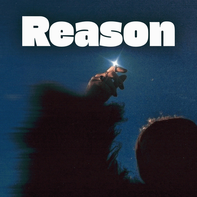 Reason