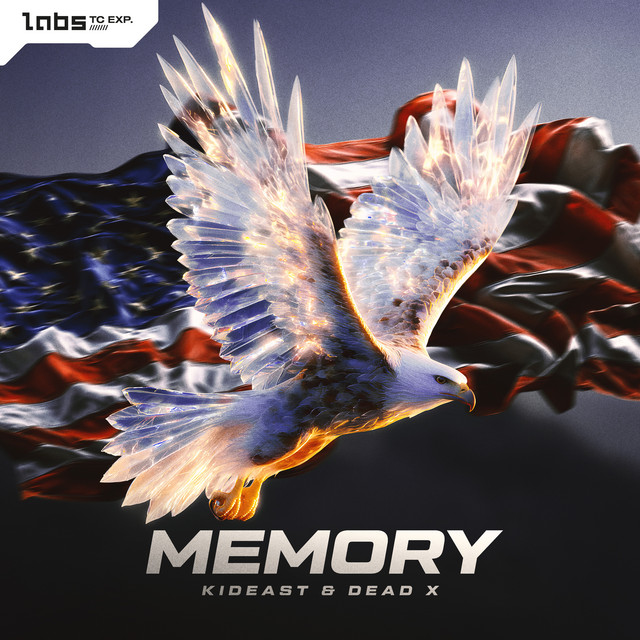 Memory cover art