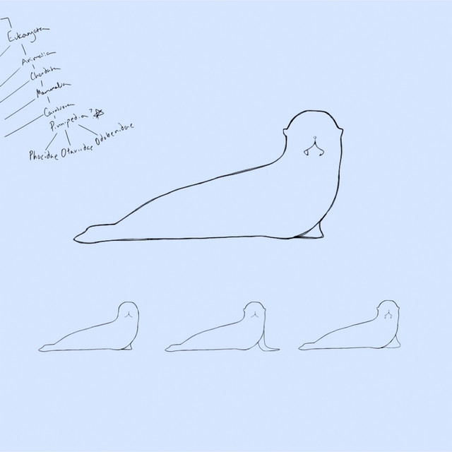 Water Dogs cover art