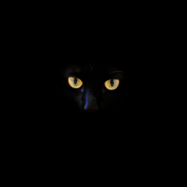 the plot cover art