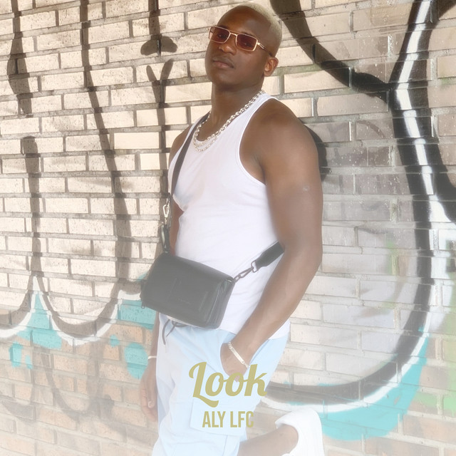 Look cover art