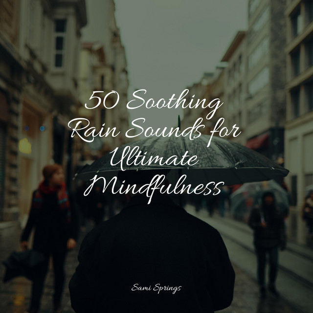 50 Soothing Rain Sounds for Ultimate Mindfulness - Album by Yoga | Spotify