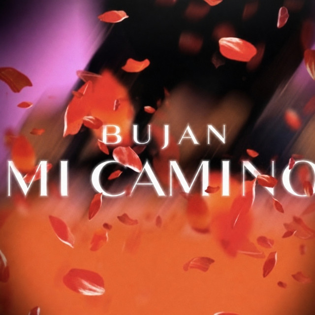 Mi camino