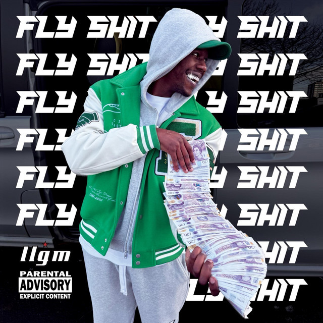 Fly Shit cover art