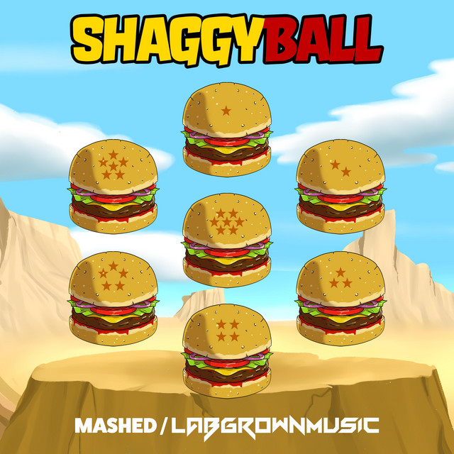 Shaggy Ball cover