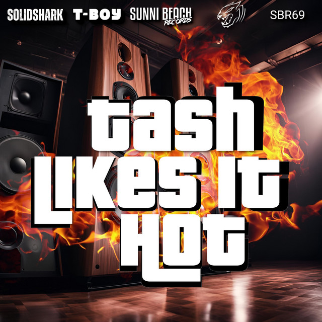 Tash Likes it Hot - T-Boy Remix cover art