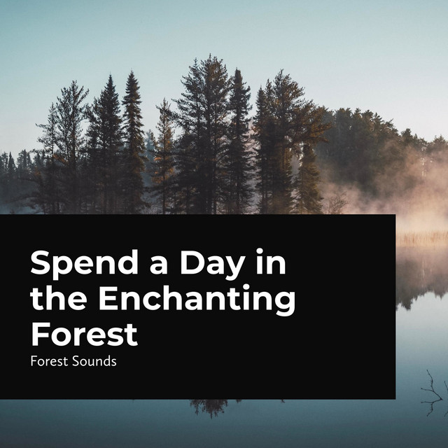 Spend a Day in the Enchanting Forest cover art