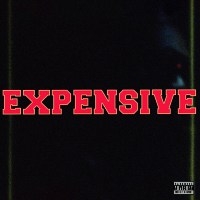 EXPENSIVE cover art