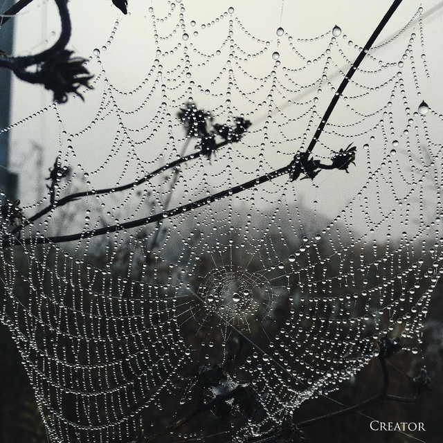 Обкладинка: Creator — French Cinema
