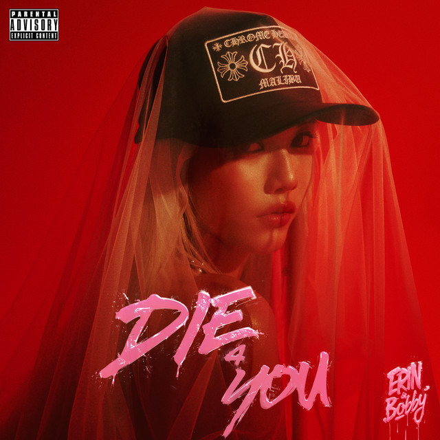 DIE 4 YOU cover art
