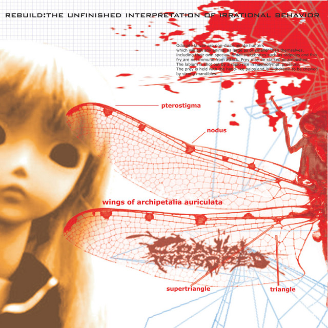 Rebuild : The Unfinished Interpretation of Irrational Behavior cover