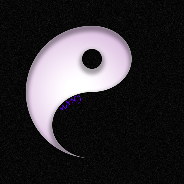 Yang cover art