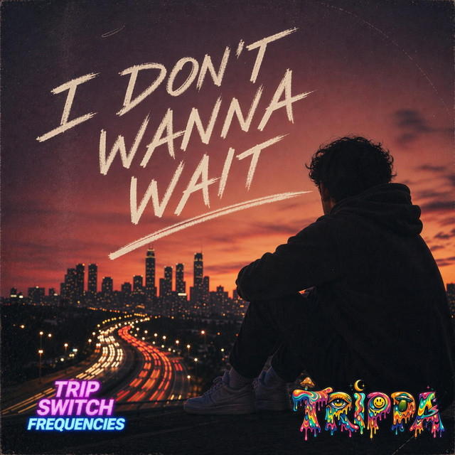 I Don't Wanna Wait