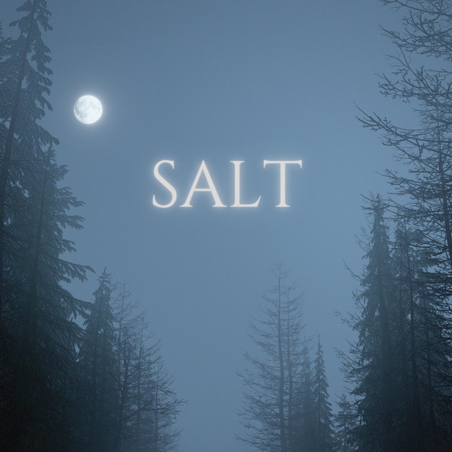 Artwork for SALT