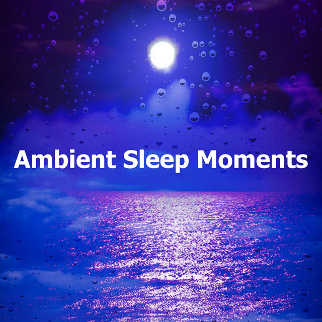 Ambient Sleep Moments cover art