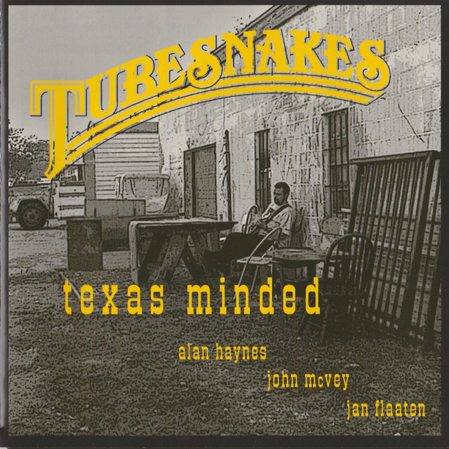 Texas Minded cover art