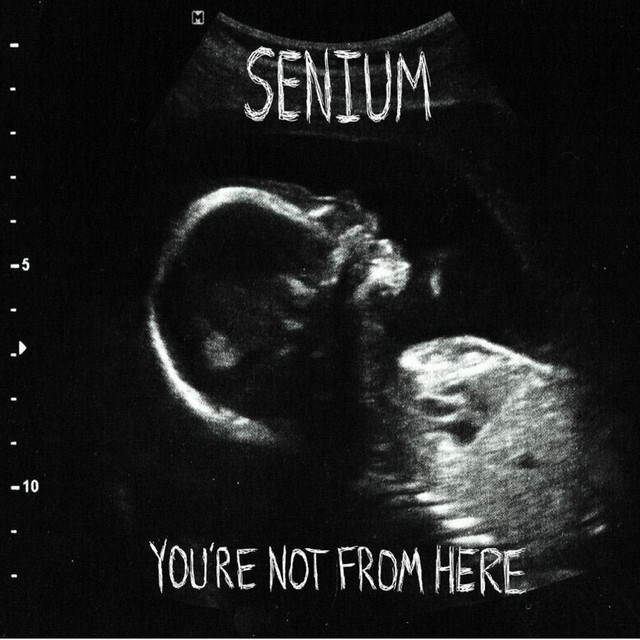 You're Not from Here cover art