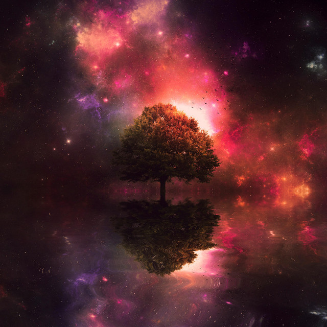 Distorted Dreams cover art