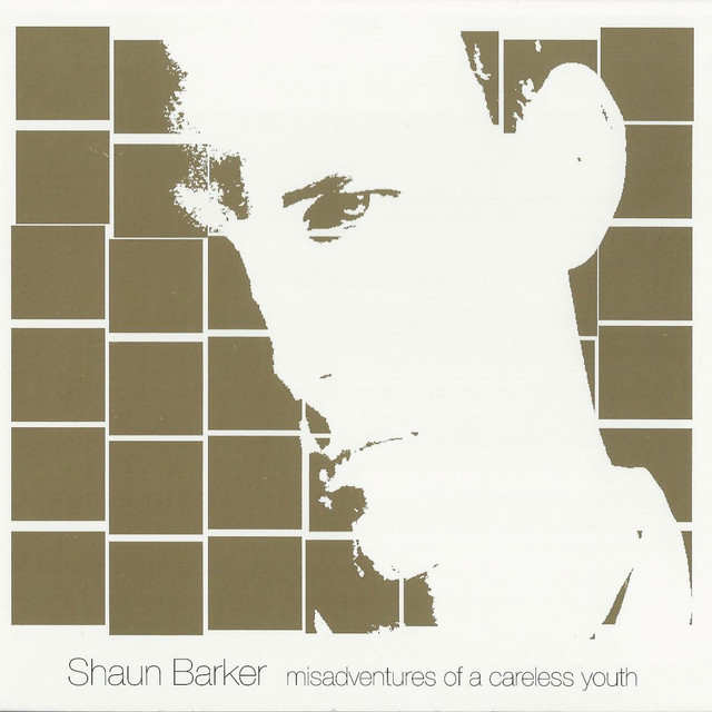 Misadventures of a Careless Youth cover art