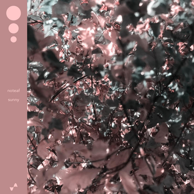 Обкладинка: Sunny — noteaf
