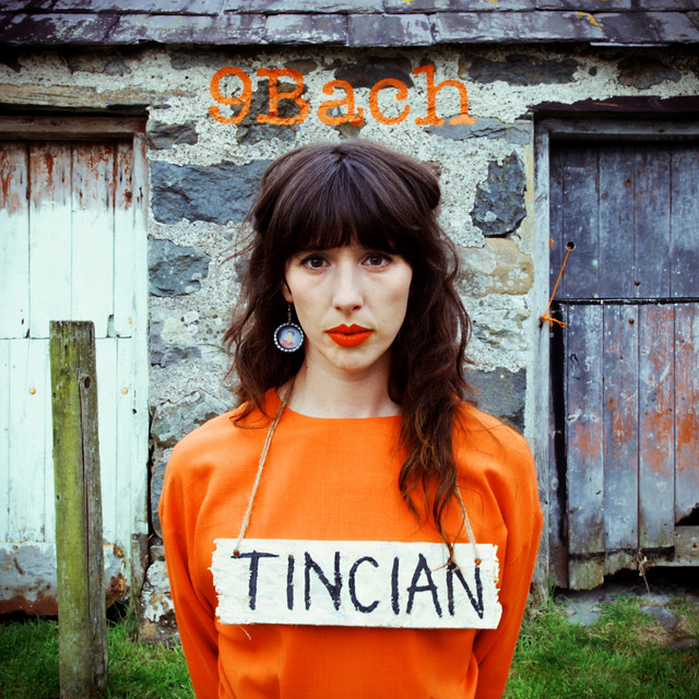 Tincian cover art