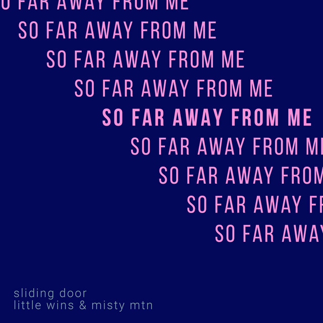 Sliding Door